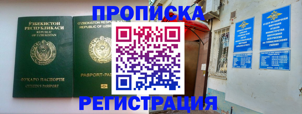 где прописаться в Щёкино